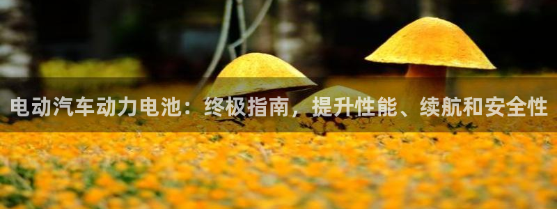 优发国际手机版网站