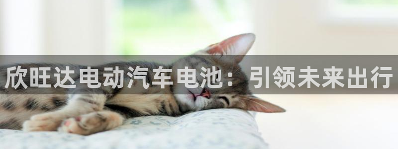 优发国际游戏n