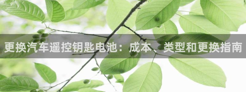 优发国际手机版网站下载
