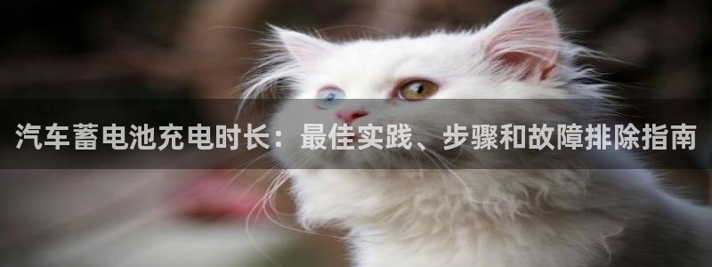优发国际手机客户端怎么下载