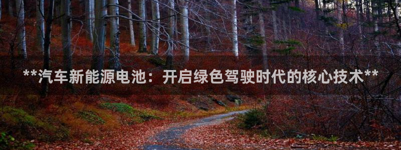 优发国际-触即发