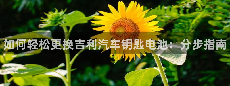 优发国际网站官网