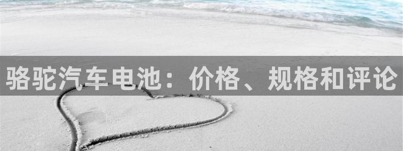 优发国际是什么