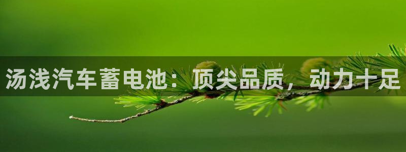 优发国际平台APP