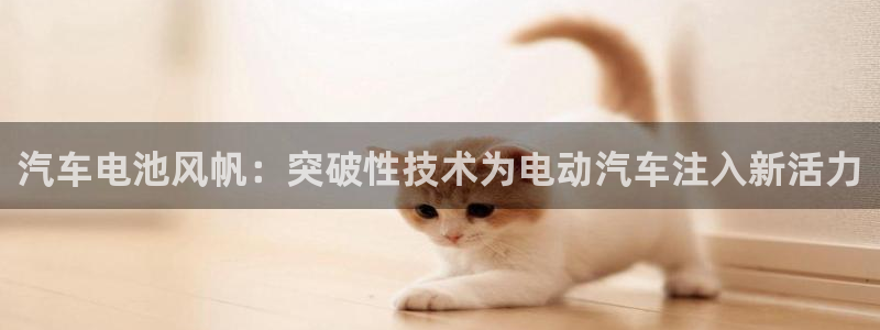 优发国际平台18