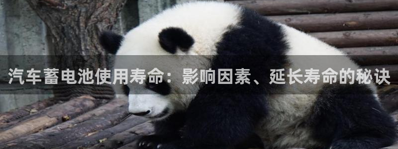 优发国际登录app