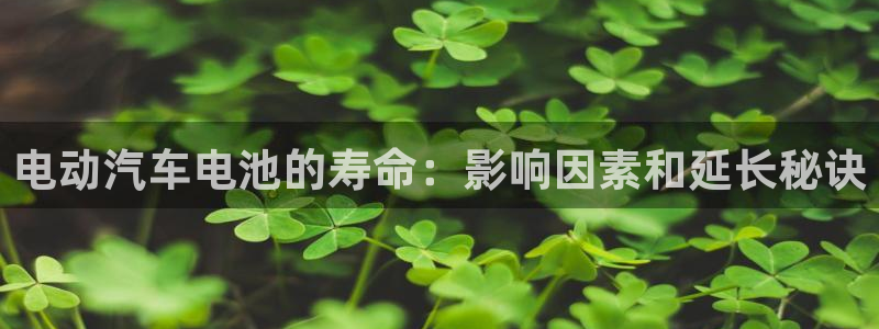 优发国际手机版官网
