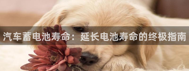 优发国际首页