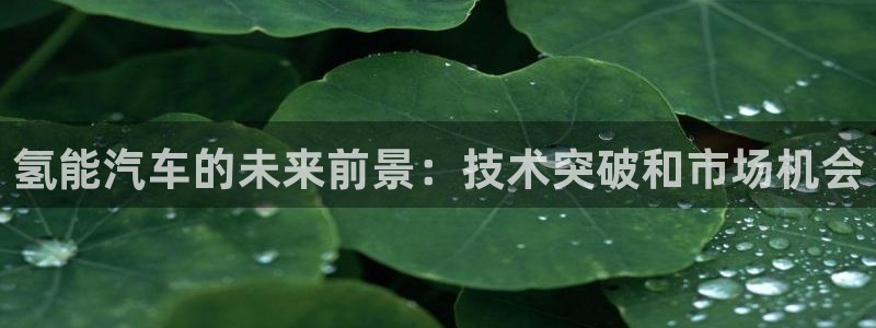 优发国际游戏
