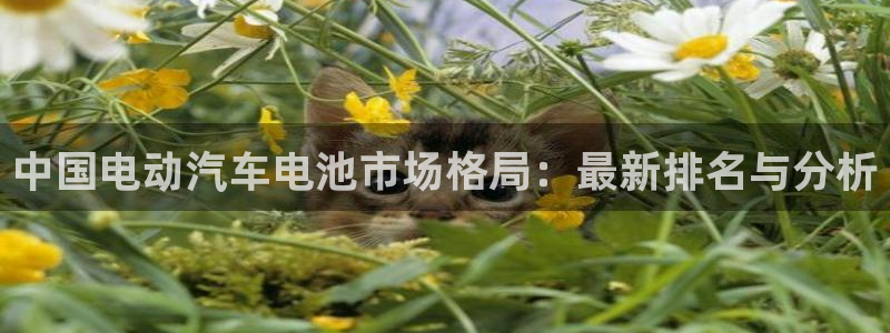 优发国际客服联系方式