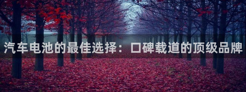 优发国际首页