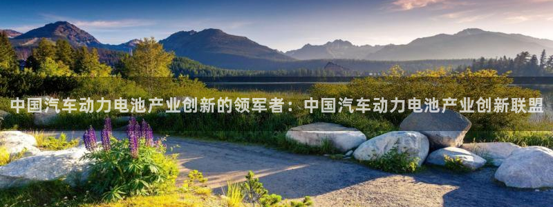 优发国际随优而动一触即发