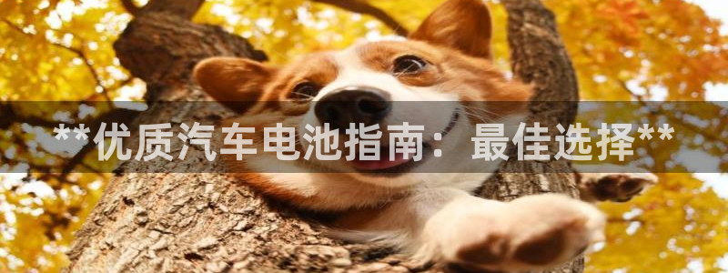 优发国际手机版下载