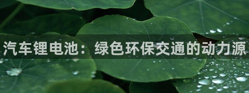 优发国际客服联系方式查询