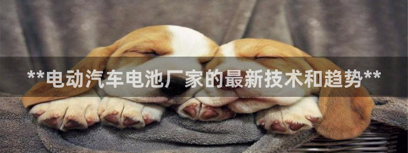 优发国际平台APP