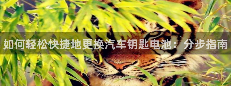 优发国际客服联系方式