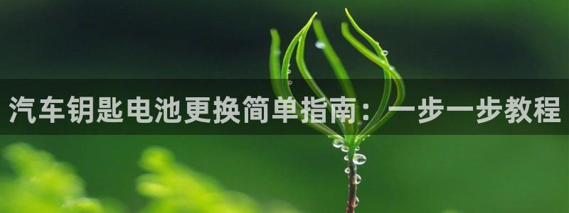 优发国际手机版唯一官网