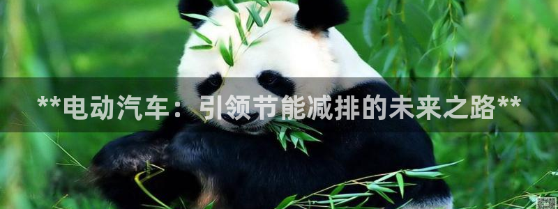 优发国际手机客户端下载不了