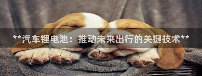 优发国际注册平台