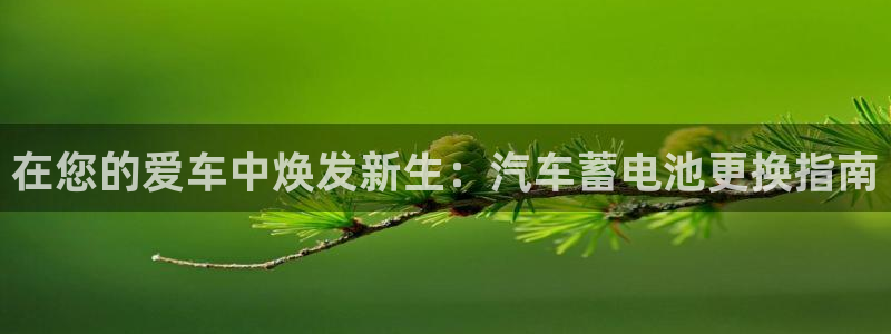 优发国际一首页