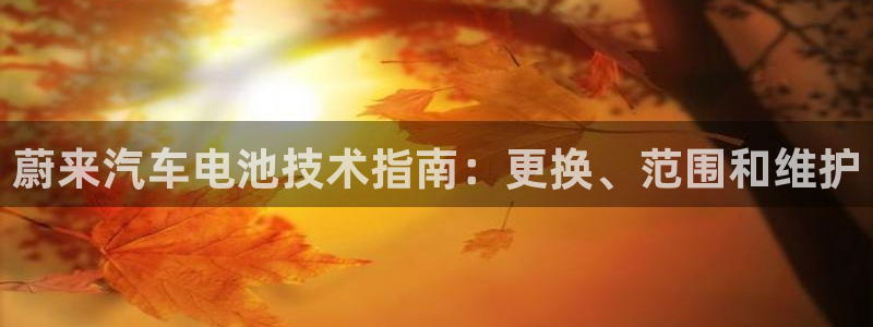 优发国际bob
