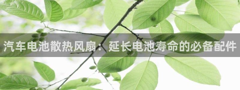 优发国际app官网下载安装手机版