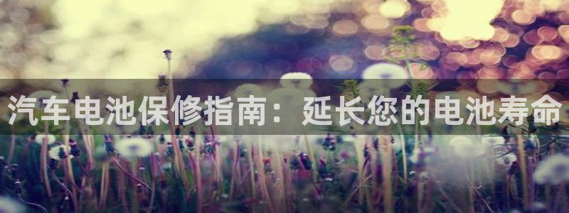 优发国际网站官网