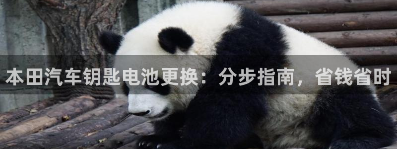 优发国际手机版官网