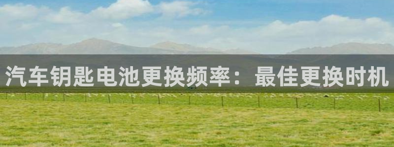 优发国际是大平台吗还是小平