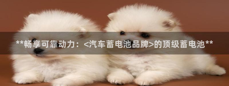 优发国际官网网站首页