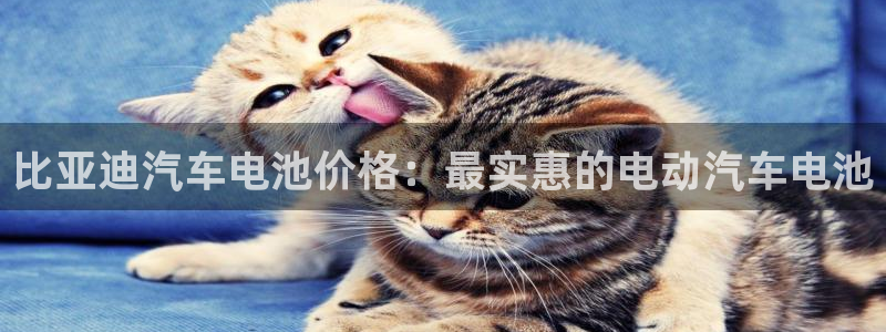 优发国际是大平台吗是真的吗