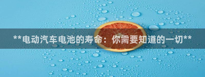 优发国际官方网手机版入口