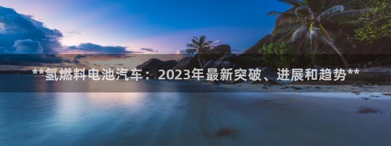 优发国际集团股份有限公司