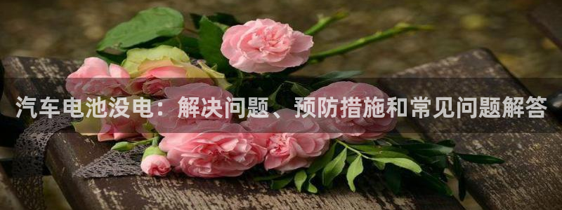 优发国际手机客户端下载不了