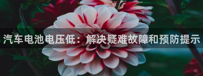 优发国际平台u8是什么