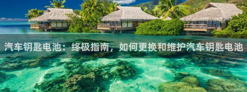 优发国际官方网手机版下载