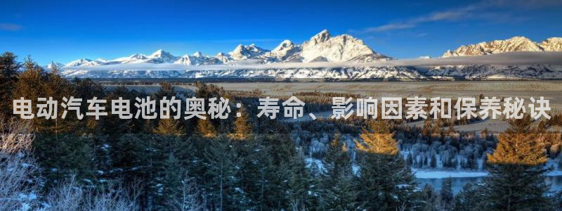 优发国际手机app下载安装最新版