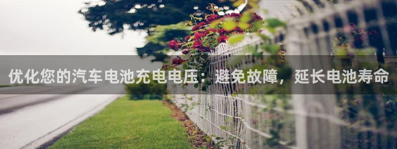 优发国际官方网平台电话