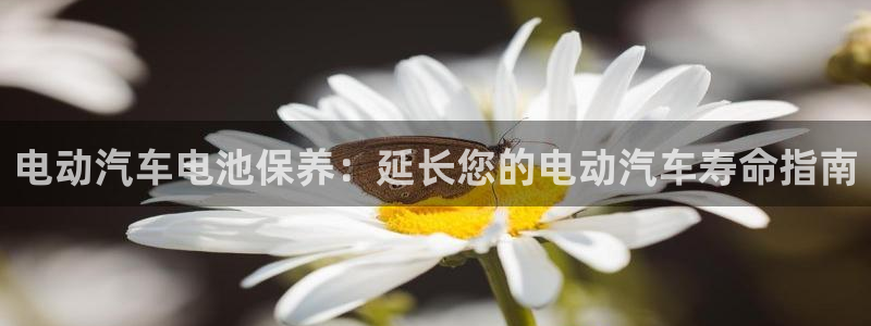 优发国际游戏n