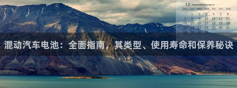 优发国际网站多少