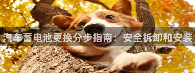 优发国际游戏官方网站入口