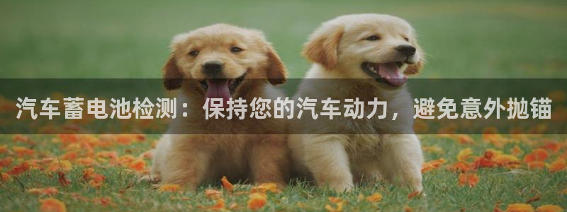 优发国际平台g8