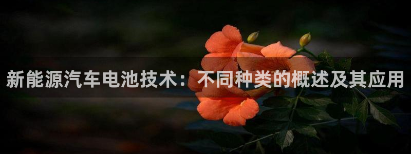 优发国际手机app下载安装