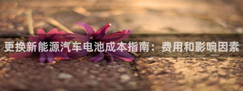 优发国际平台app下载安装