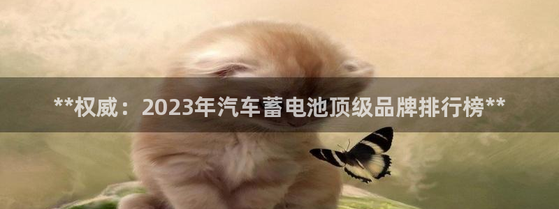 优发国际平台app下载安装