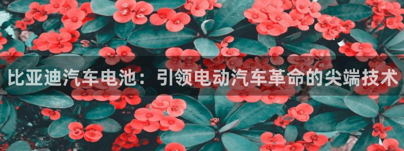 优发国际手机登录下载安装官网