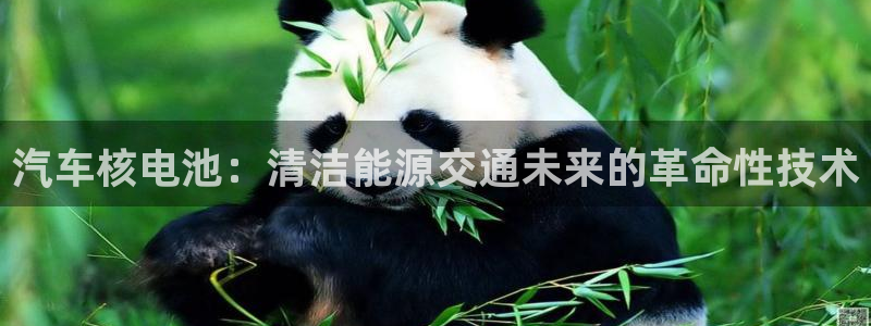 优发国际平台u8