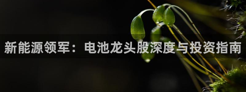 优发国际的官网是正品吗