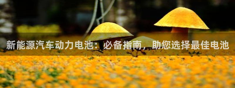 优发国际网官网17k8
