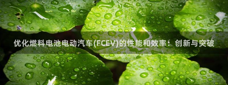 优发国际网页